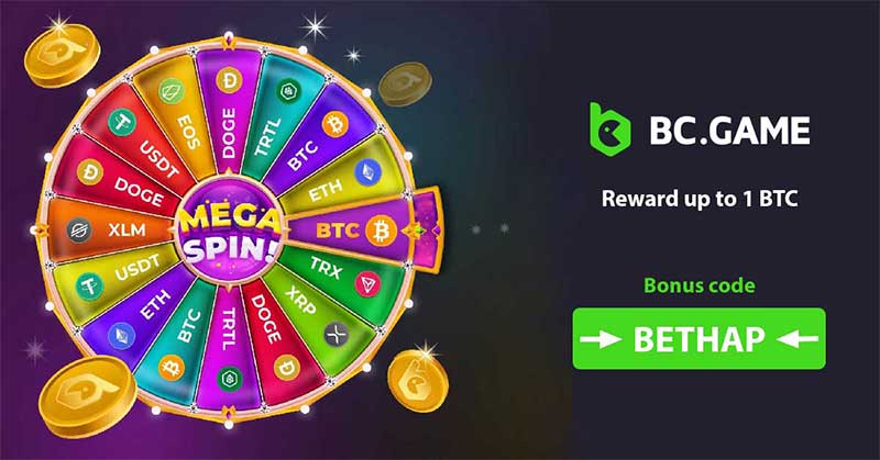 Explore Exciting Opportunities at BCigra.com