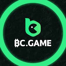 Explore Exciting Opportunities at BCigra.com